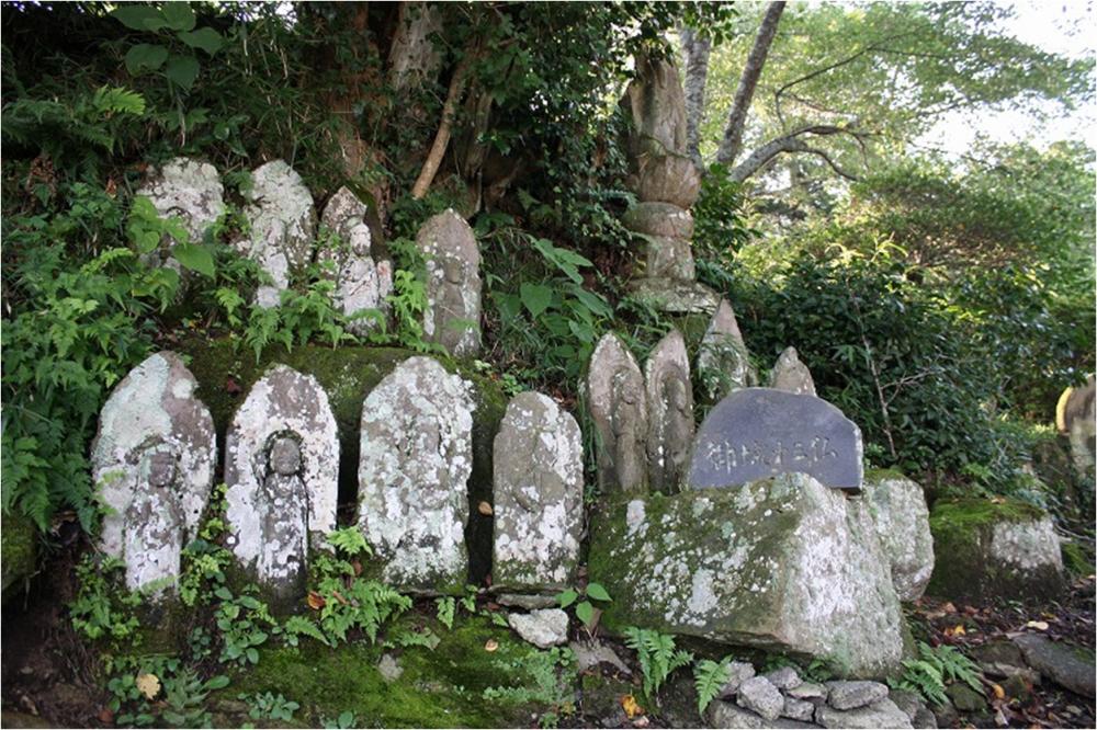 滑津館跡の写真1