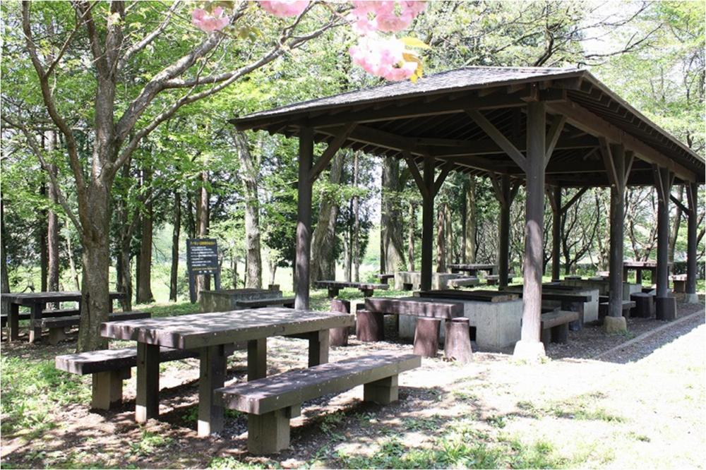 童里夢公園なかじま　　バーベキュー広場の写真1