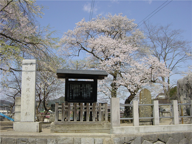 向ヶ岡公園の写真1