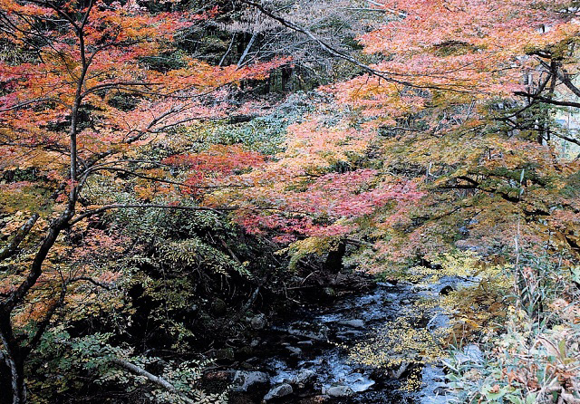 湯岐渓谷（不動滝　雷滝）の写真1