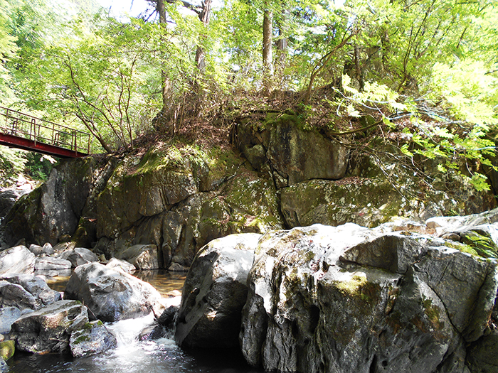 川上渓谷蒼ヶ島公園と花の里川上遊歩道の写真1