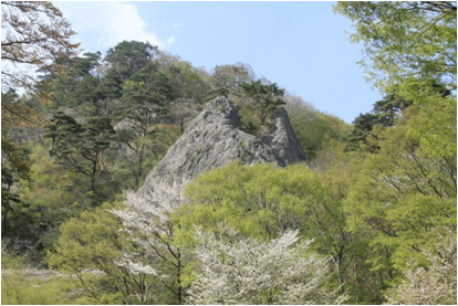 聖ヶ岩ふるさとの森の写真1