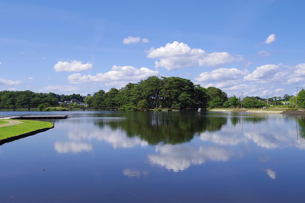 大池公園の写真1
