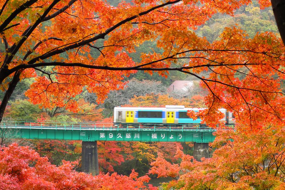 JR水郡線と楽しむ矢祭町の写真1