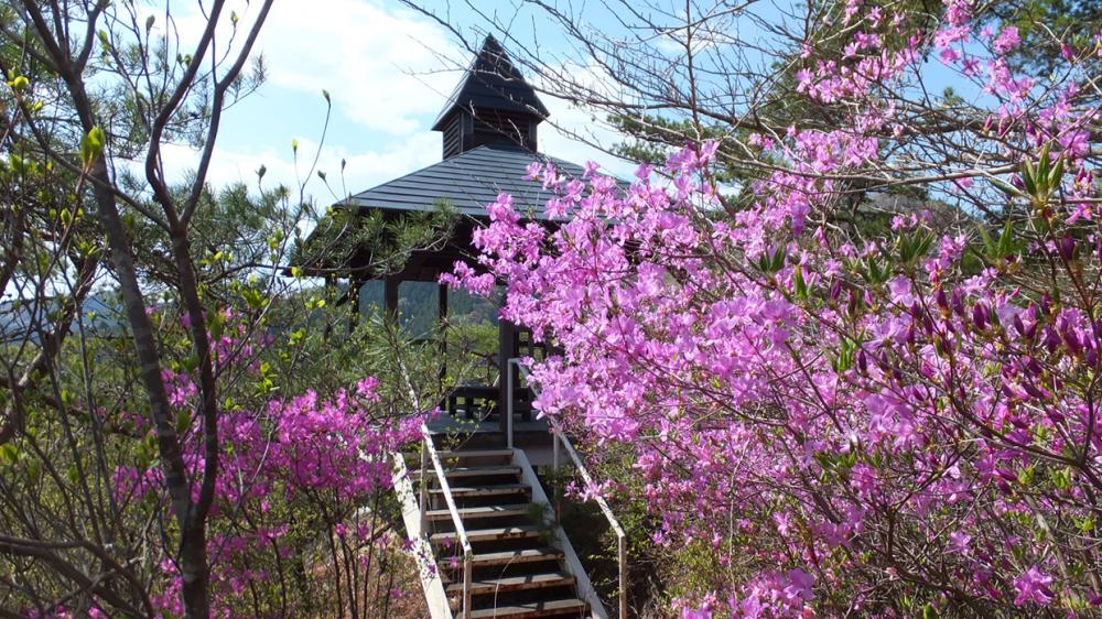 桧山登山道の写真1