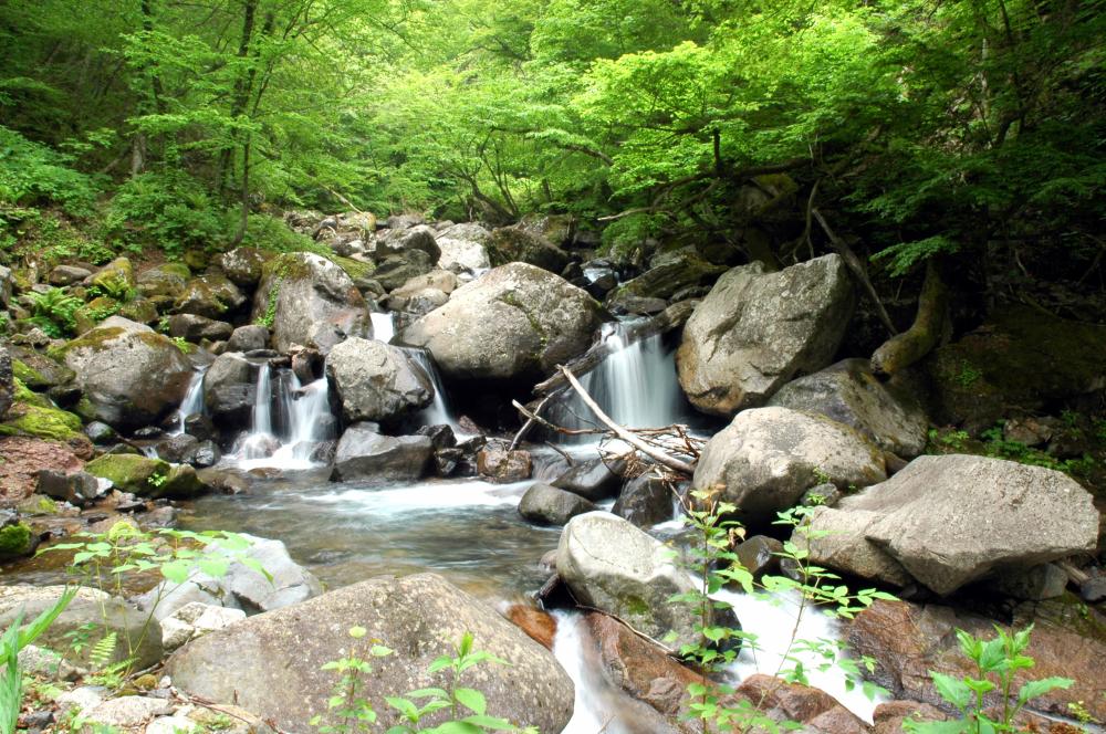 阿武隈川源流の写真1